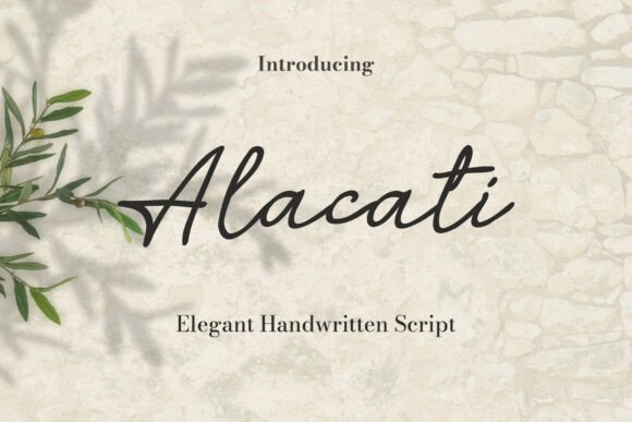 Alacati Typeface: A Script Font for Editorial Calm