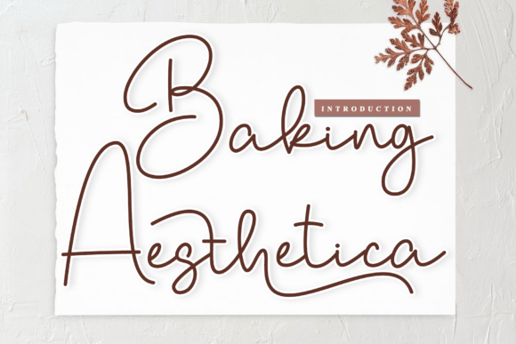 Baking Aesthetica: A Designer’s Practical Review