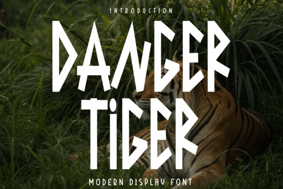 Danger Tiger: A Script Font for Editorial Design