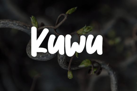 Kuwu: A Modern Typeface for Elegant Branding