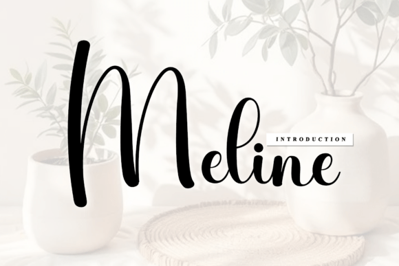 Meline Font: Elevate Your Brand Identity